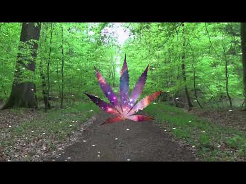 N8 - $chemin (feat. Iseyanu)