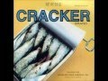 Cracker - Dr Bernice