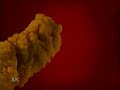 KFC Lilo And Stitch Commercial From 2002