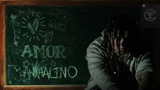 AMOR Music Video