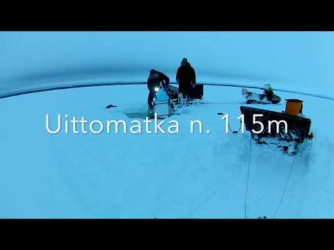 Talviverkkojen uitto parityöskentelynä