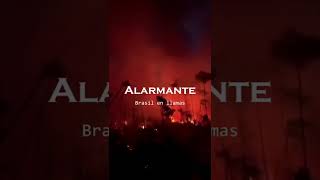 ¡Catastrófico! La Amazonia brasileña está en llamas