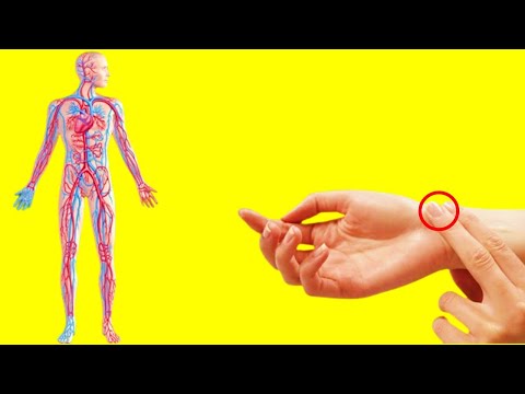 How to Check Blood Pressure Without Equipment In Just 1 Minute