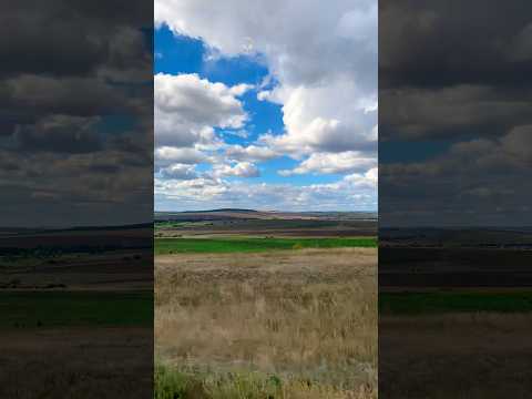 Advanced Training Paul Hertzog🎧music 90s#music90s #nikolayt #disco#citroenc4 #kit