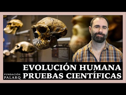 ¿Por qué la Evolución es mucho más que “sólo una teoría”?