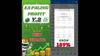 EA Paling Profit V.2