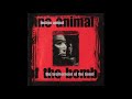 Techno Animal - DC 10