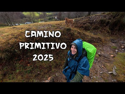 Camino Primitivo 2025