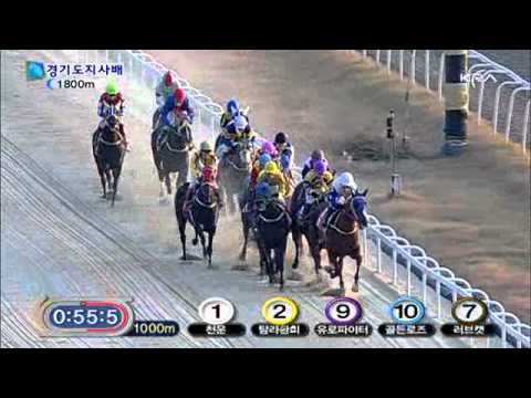2010 The Governor of Gyeonggi Province Cup - Love Cat