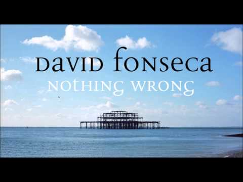 "Nothing Wrong" David Fonseca