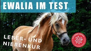 Testbericht I Leber- und Nierenkur von Ewalia