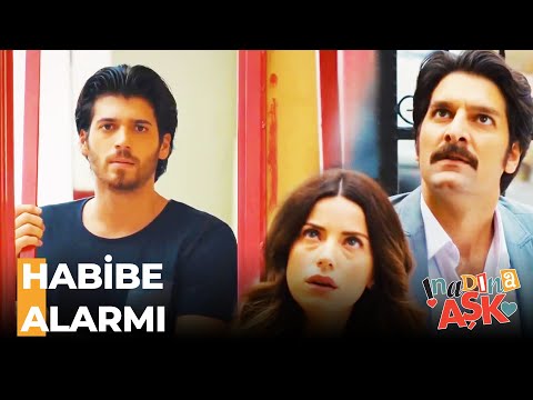 Defne ve Yalın'a Talihsiz Baskın - İnadına Aşk