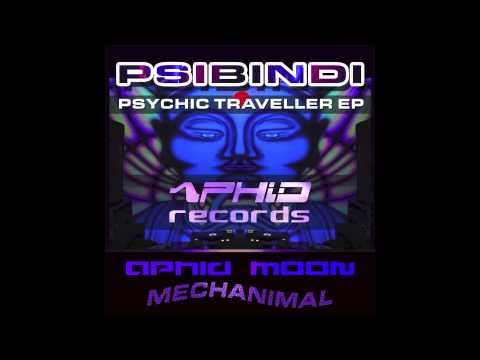 Psibindi & Aphid Moon - Psychic Traveller