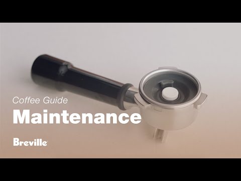 The Barista Express™ Impress | Cleaning your machine: How to perform a Clean cycle | Breville NZ