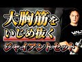 【自宅トレ】ダンベルとベンチで行う大胸筋を大きくする最強プログラム