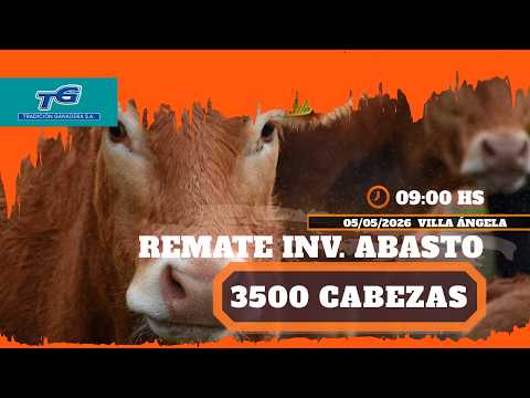 REMATE ABASTO E INVERNADA...TRADICION GANADERA SUCURSAL VILLA ANGELA