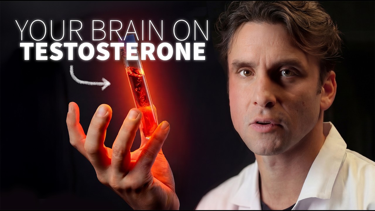 The Biology of Failure. How anxiety kills your testosterone