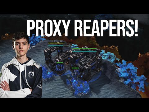 Clem's Proxy Reapers DISTRACT MaxPax in Best of 5