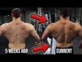 How I'm Building a MASSIVE Back