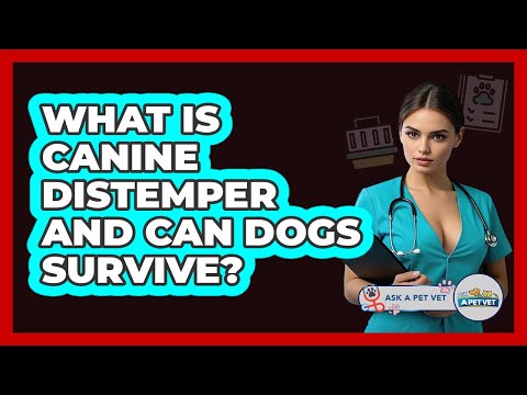 What Is Canine Distemper And Can Dogs Survive? - Ask A Pet Vet