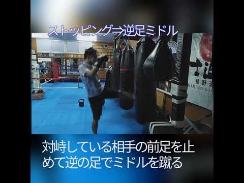 ストッピングからのミドルキック