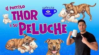 THOR: EL PERRITO DE LA CALLE QUE SE HIZO VIRAL