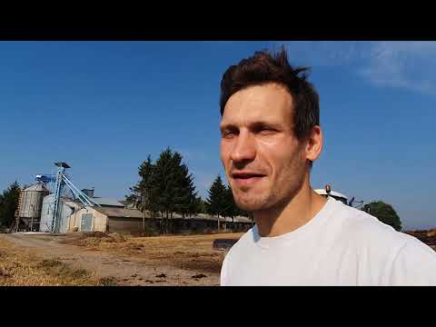 Zetor 16145 - 105 KM wozi obornik pod rzepak z 3P