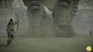 ワンダと巨像　発狂バグ