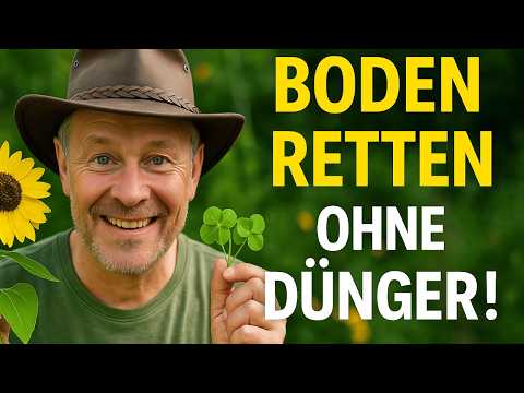 8 miracle plants that feed your soil – WITHOUT fertilizer!