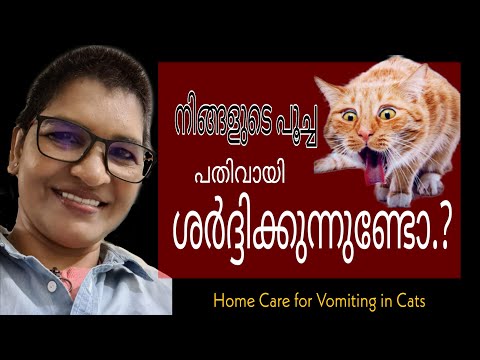 Why Your Cats Vomit and What to Do?| Home Care For Vomiting In Cats | Nandaspetsus | Vanaja Subash