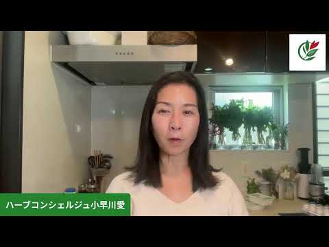 医療ビジネス薬科学科 ホーリーバジルの魅力と活用方法