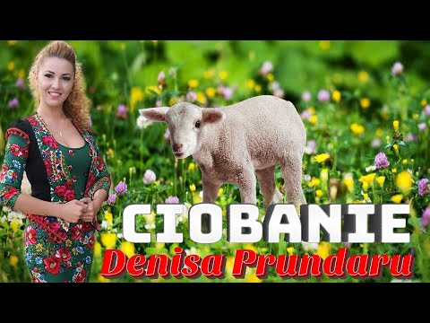 MUZICA DE CIOBANI, JIENE, CIOBANIE