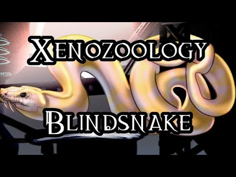 Xenozoology: Blindsnake - 40K Theories