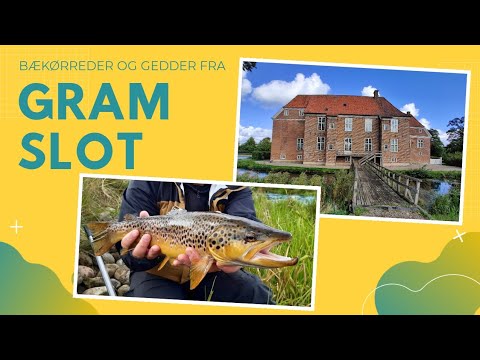 Bækørreder og Gedder fra Gram Slot