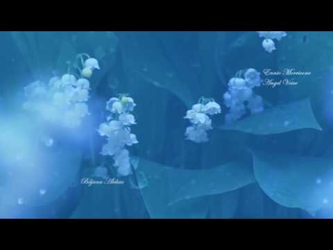 Ennio Morricone - Angel Voice