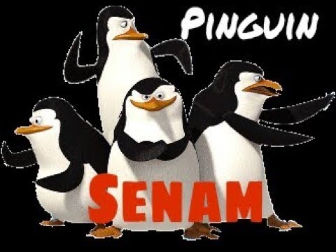 download musik senam pinguin download musik senam pinguin
