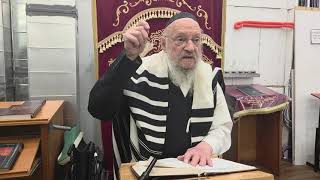 רמב"ם לעיונא | טעם איסור בהמה שאינה שחוטה על פי שיטת רש"י והרמב"ם | ר' יעקב פרץ בלומינג | שנת תשפ"ו