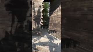 Lock Boxes and Store Front