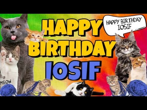 Happy Birthday Iosif! Crazy Cats Say Happy Birthday Iosif (Very Funny)