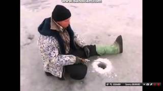 Воробей чего ты ждешь крошек хлебных не клюешь