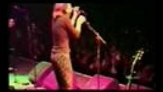 The Walkabouts - Man From Reno