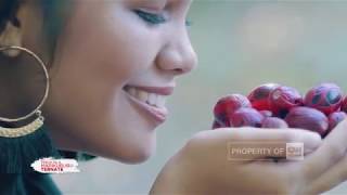 Rayuan Pulau Kelapa - CNN Indonesia