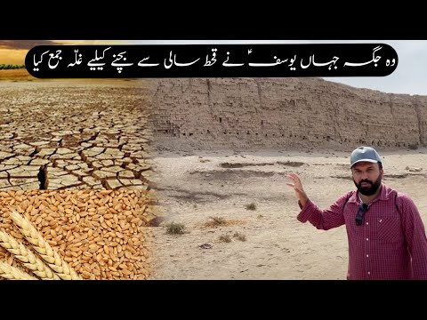 Ziyarat Muqaam Syedna Yusuf (AS) in Egypt | #ZubairInEgypt