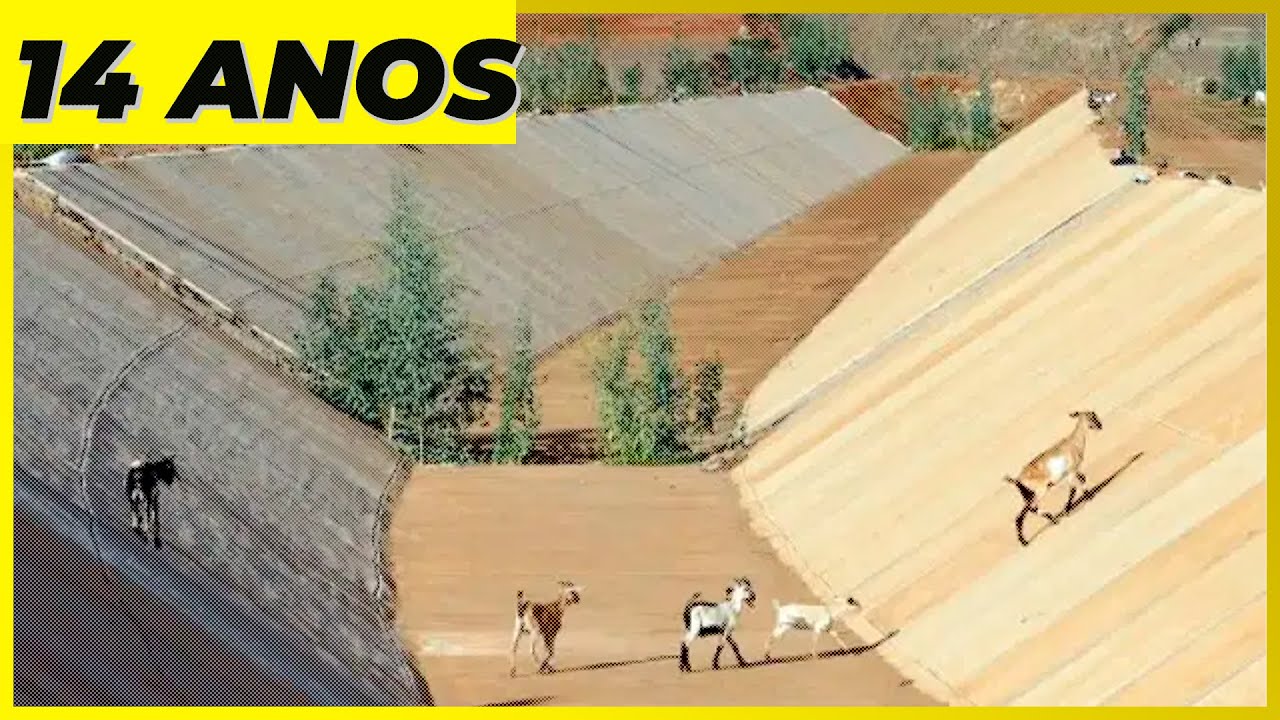 Geógrafos e Biólogo explicam os IMPACTOS da TRANSPOSIÇÃO