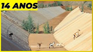 Geógrafos e Biólogo explicam os IMPACTOS da TRANSPOSIÇÃO