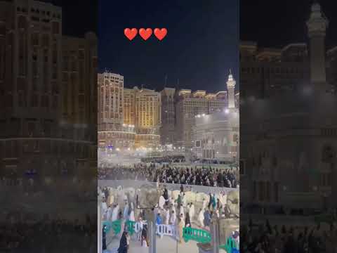 🌹 the world beautiful place 🌹