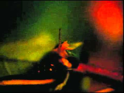 台灣省特有生物研究保育中心 二 螢火蟲