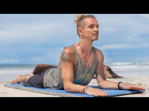 20 Min Morning Yoga For Beginners | Full Body Yoga To Wake Up Perfectly