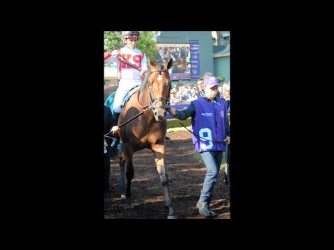 Our Reaction To Practical Joke - 2016 Champagne Stakes