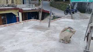 Download lagu LAND CONTOUR UNDER THE ROAD. AMAZING. So it becomes a cool house mp3